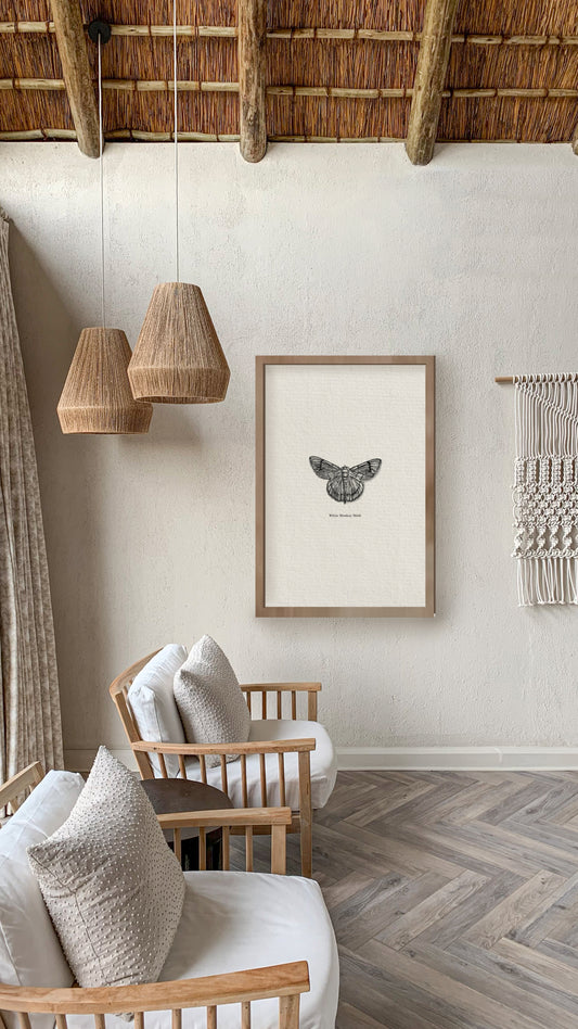 Moth