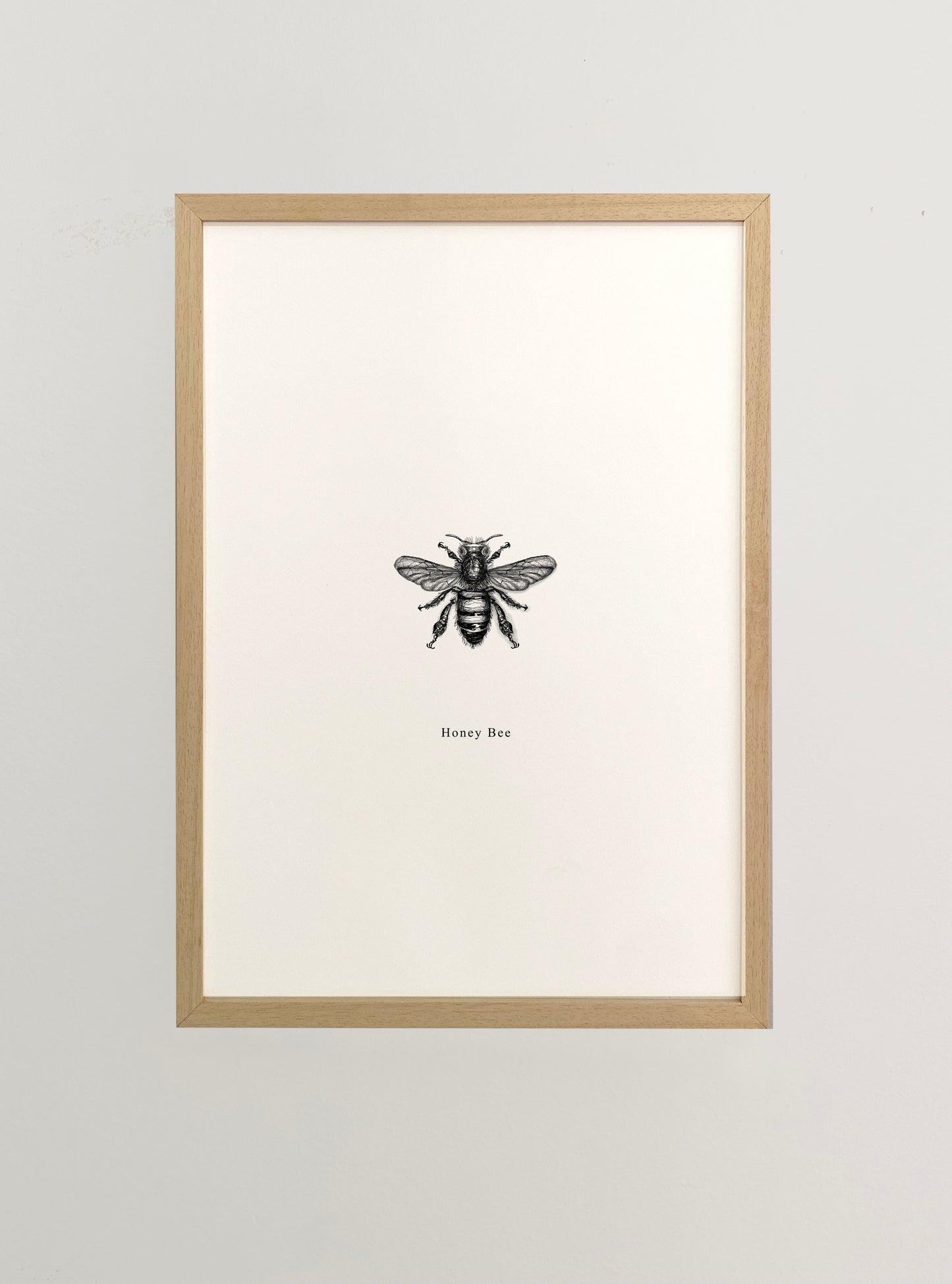 African Bee