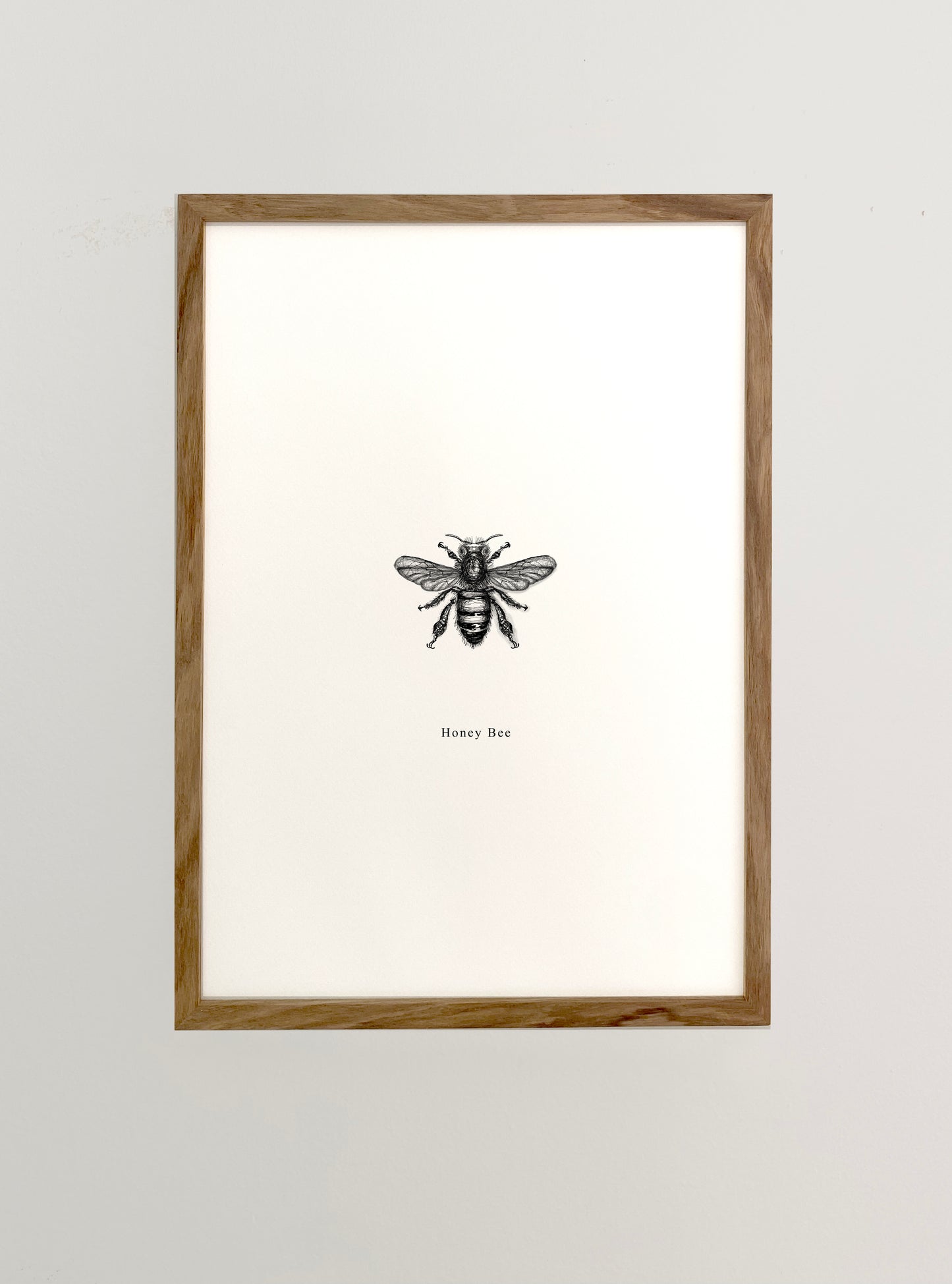 African Bee