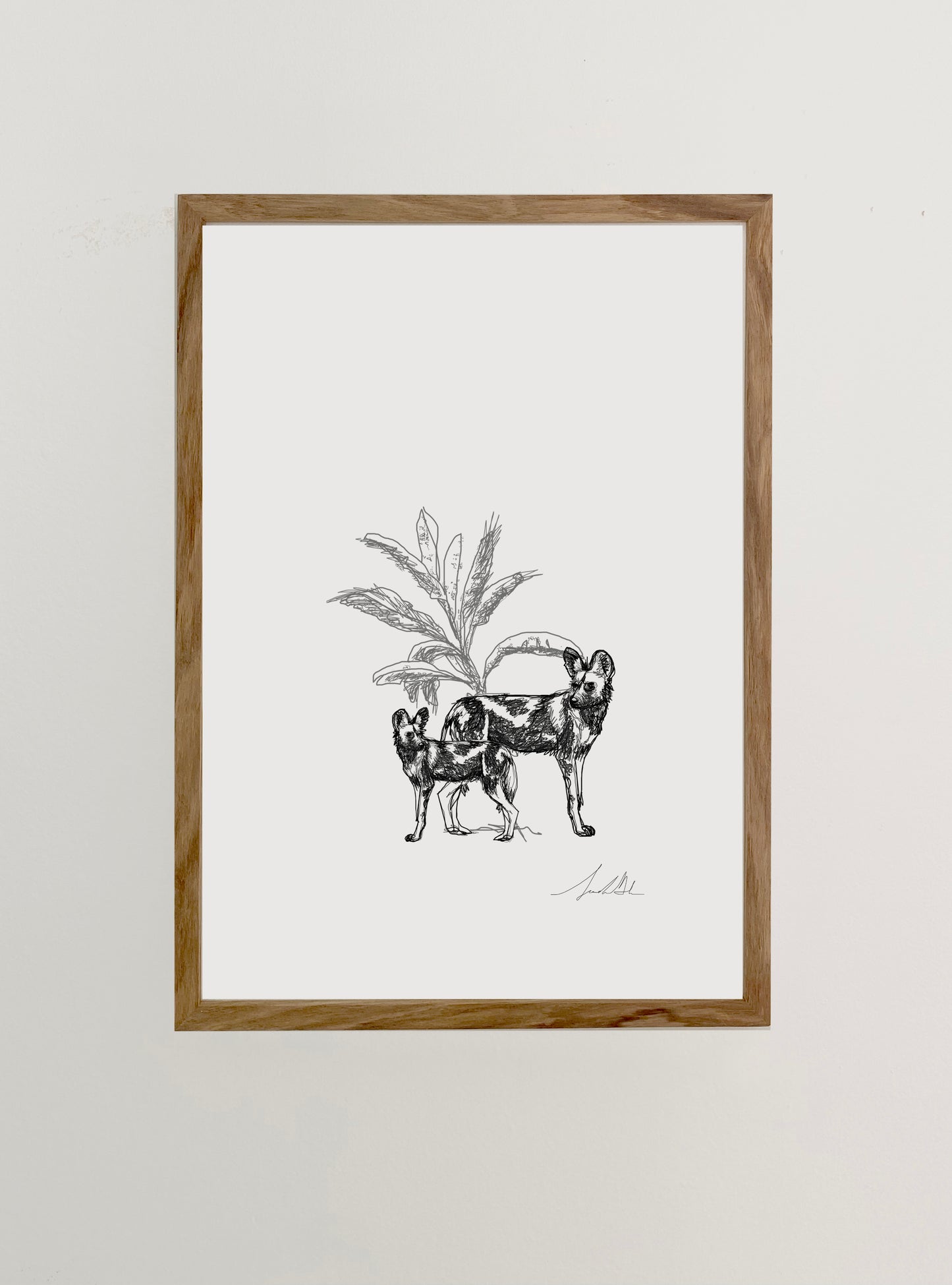 African Wild Dog
