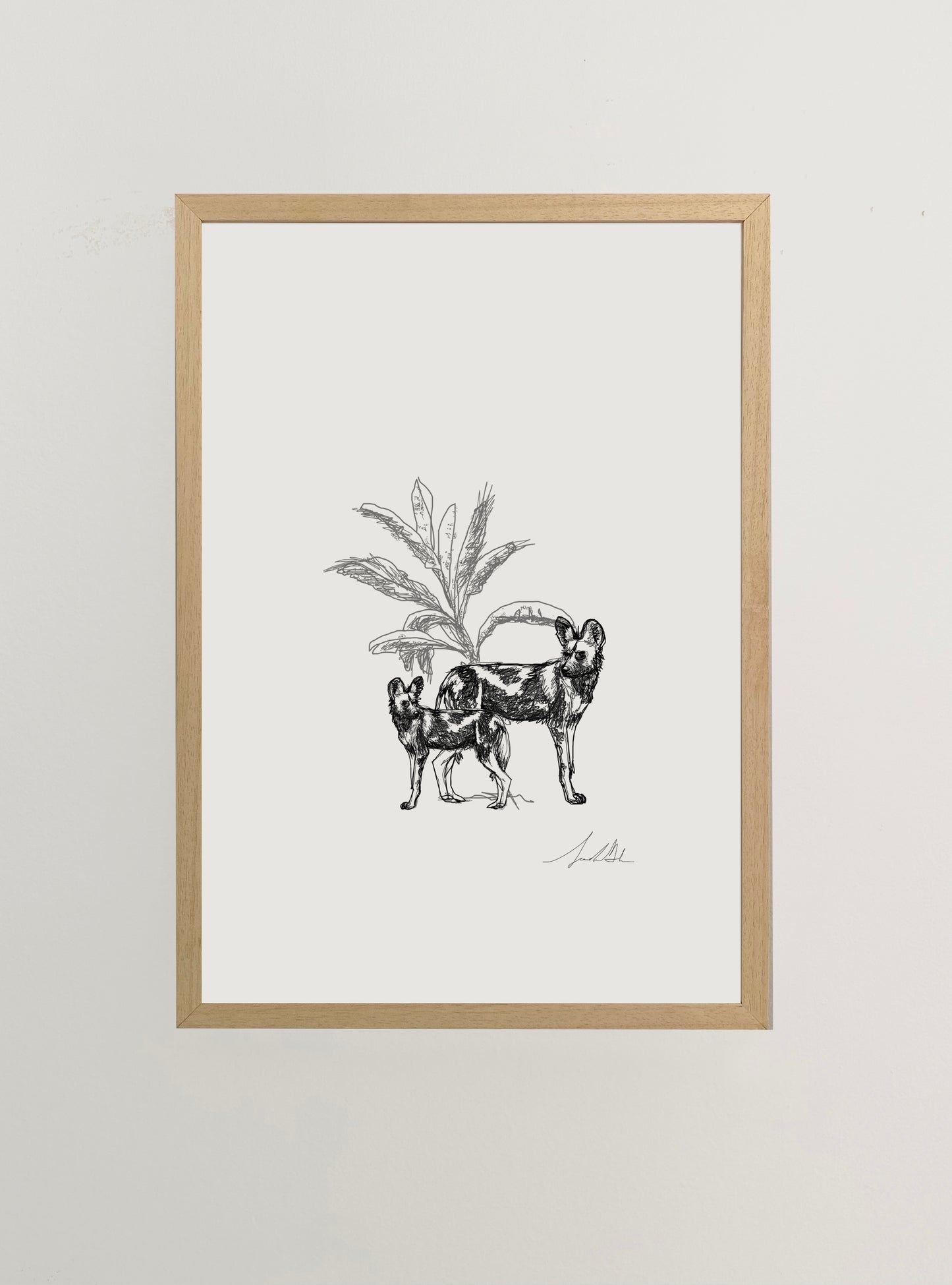 African Wild Dog