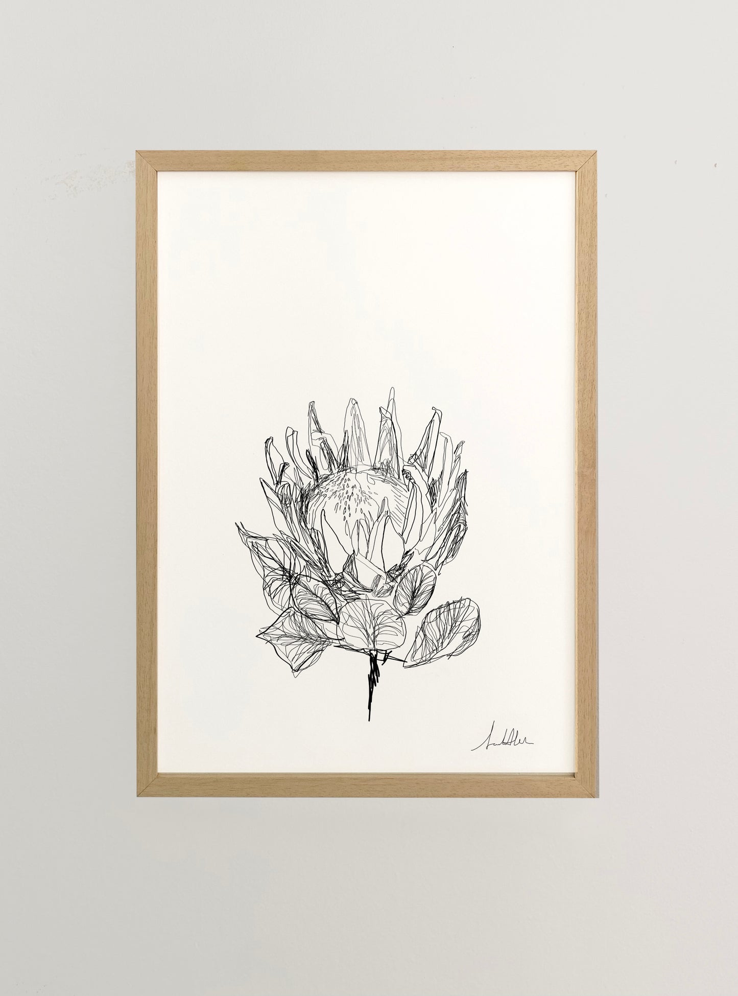 Protea 1