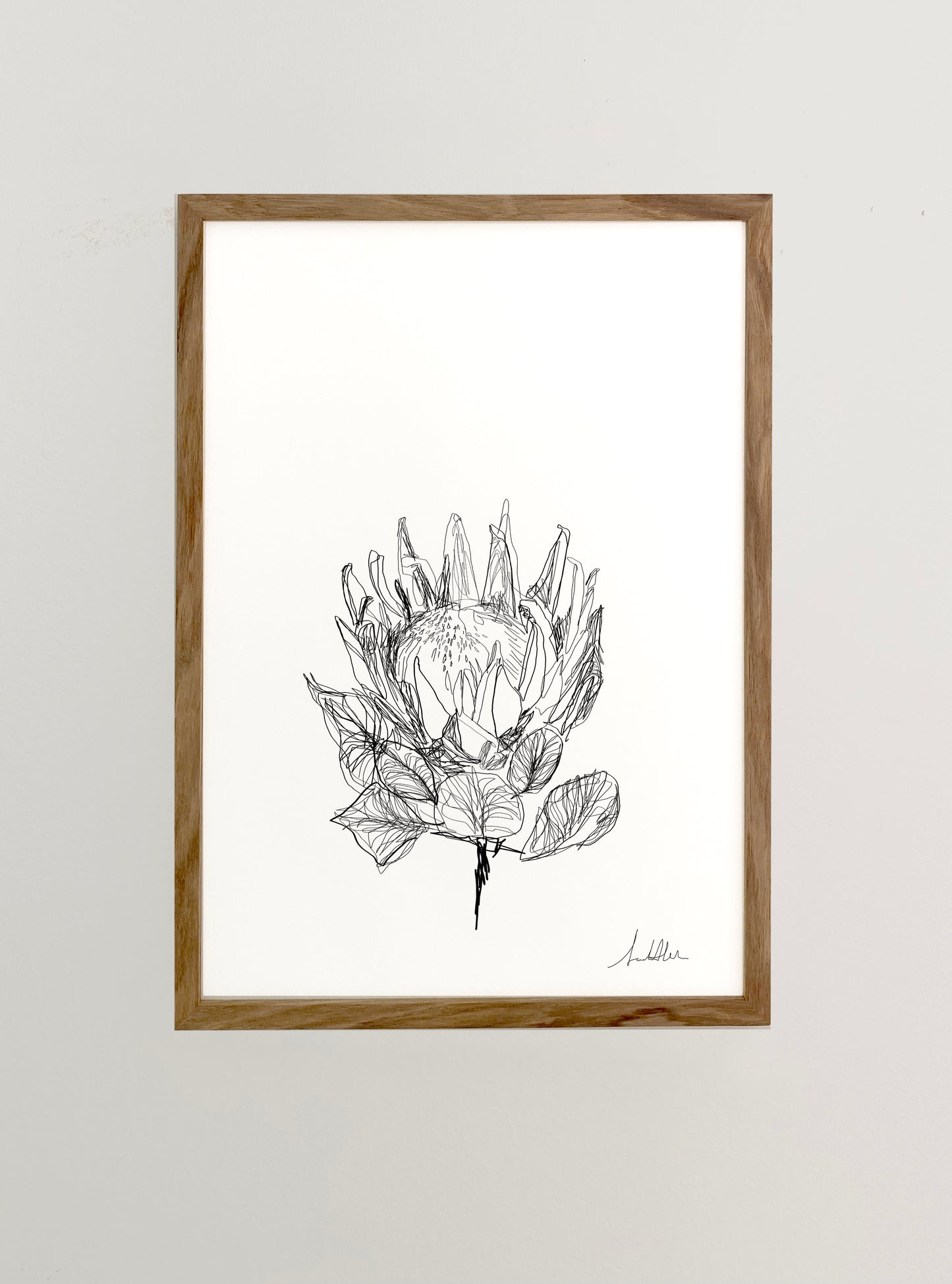 Protea 1